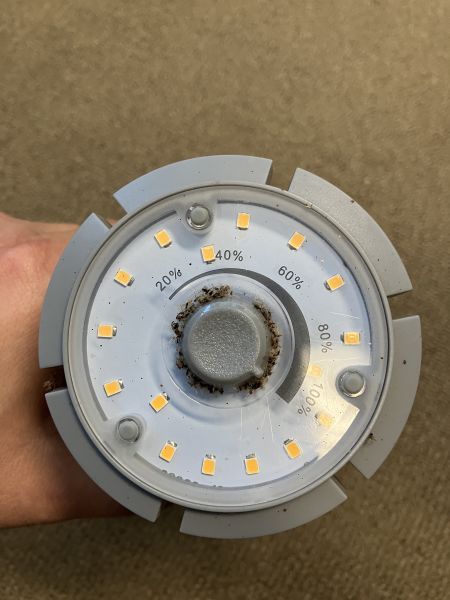 File:TRF PQL SL PHOT Philips LEDLamps Top.JPG